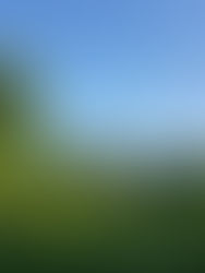 Transformer les parcs en alliés pour lutter contre les inondations