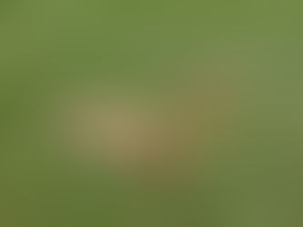 The pronunciation nightmare. How to settle those newsroom debates.