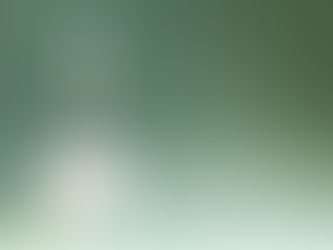 Navigating Financial Aid: A Guide to FAFSA and Scholarships