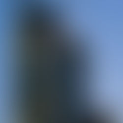 Stock Watchlist: Annaly Capital Management (NLY)