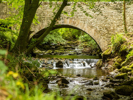 The Beck and Boy