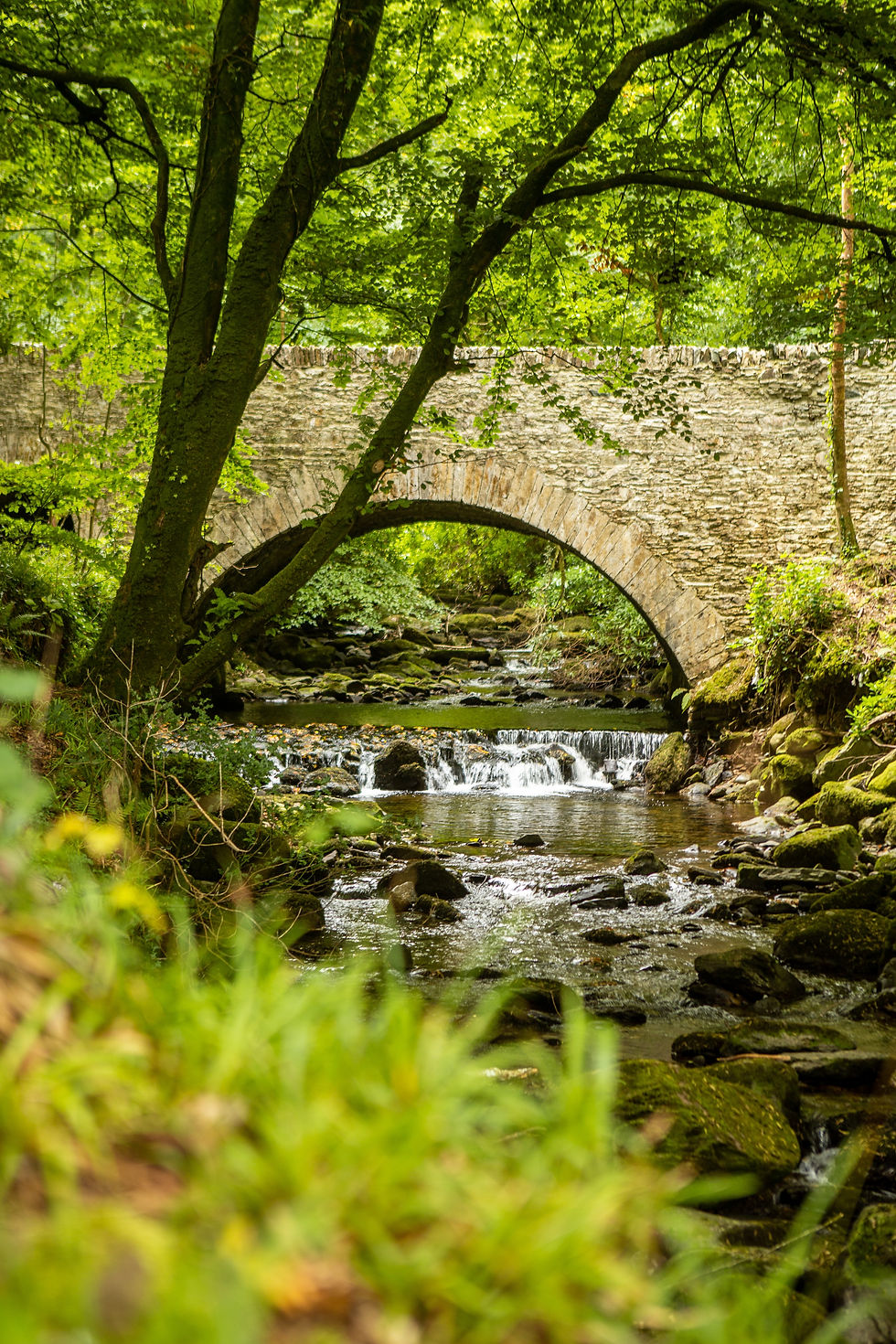 The Beck and Boy