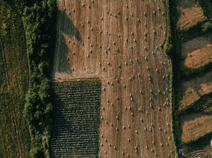 SPP Properties Fraud? Here’s How to Verify the Truth Step-by-Step