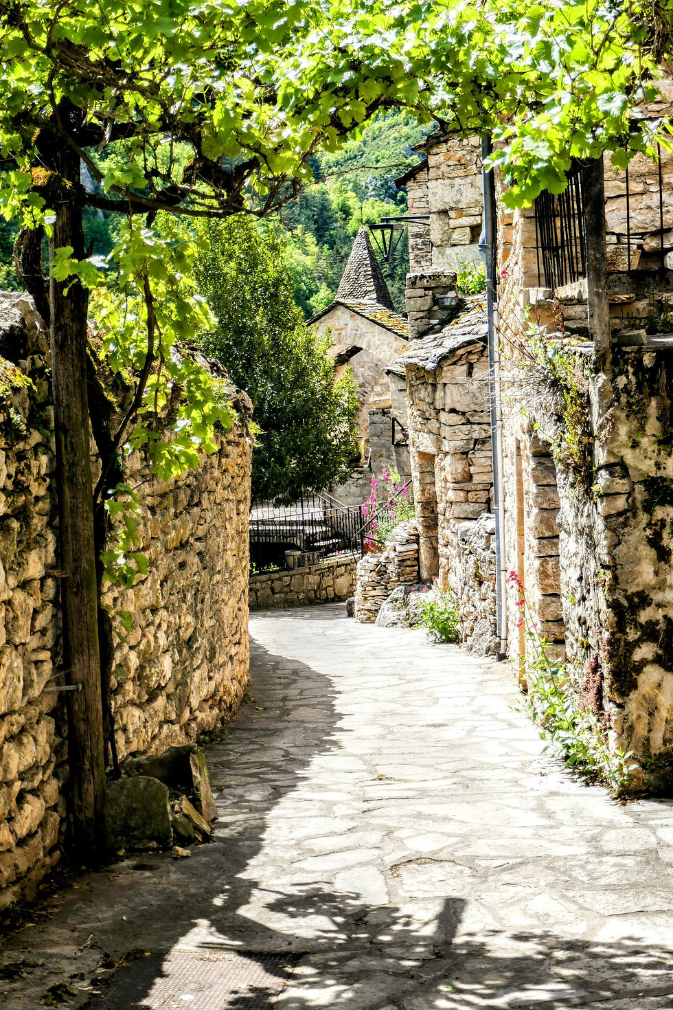 Annual Running Costs of Owning Property in the Tarn