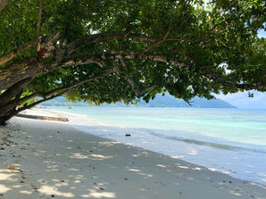 seychelles beach