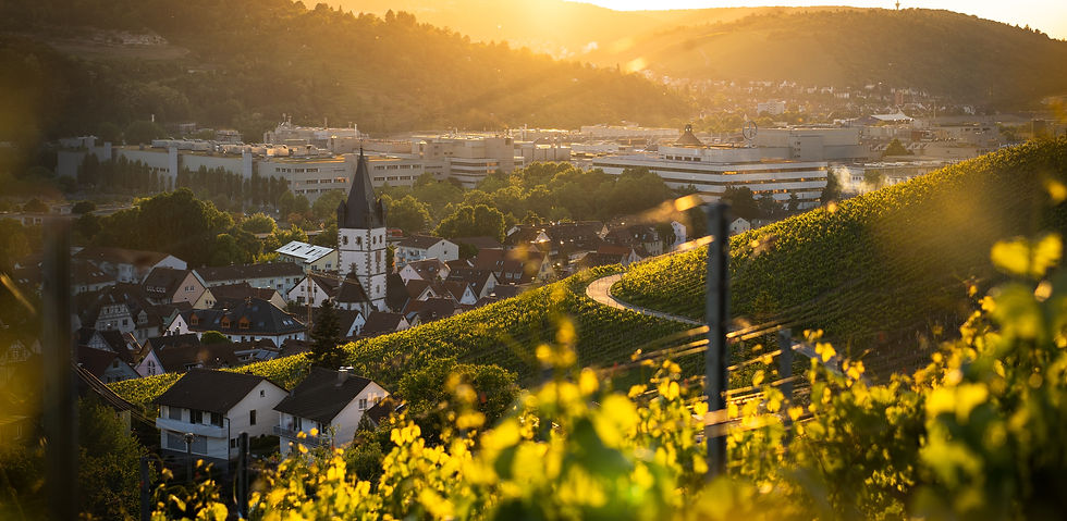 Spedition von und nach Esslingen am Neckar. Wir finden die passende Lösung für Ihr Transportgut.
