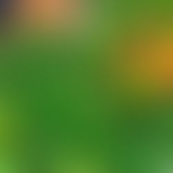 Voyage culinaire en Asie centrale : pourquoi l’Ouzbékistan est la meilleure destination ?