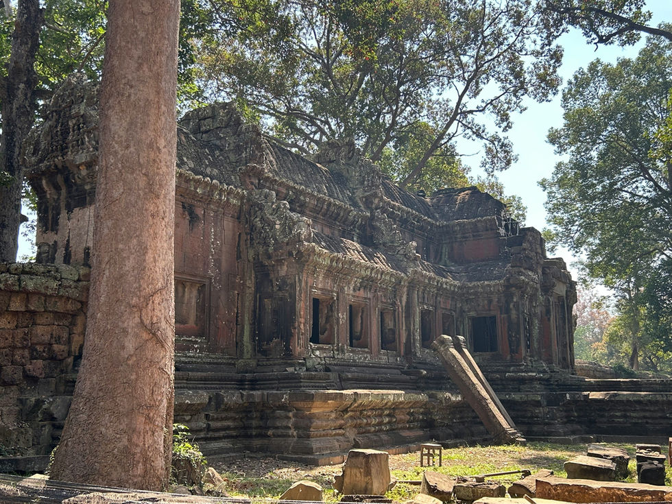 Image by Tannis Sullivan