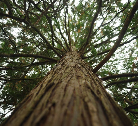 Image by Wouter van der Velde