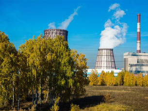 Como as toxinas causam doenças