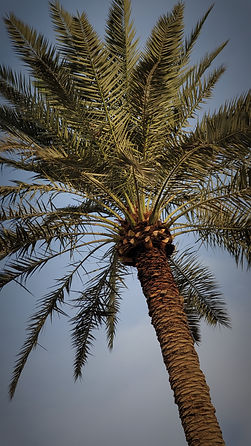 Image by Ibrahim Ahmed