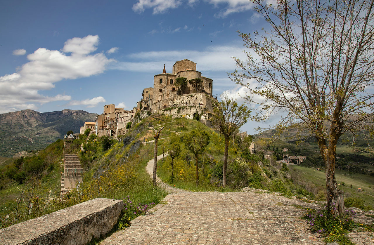 Image by Angelo Casto