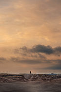 Image by Todd Trapani
