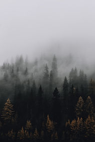 Image by eberhard 🖐 grossgasteiger