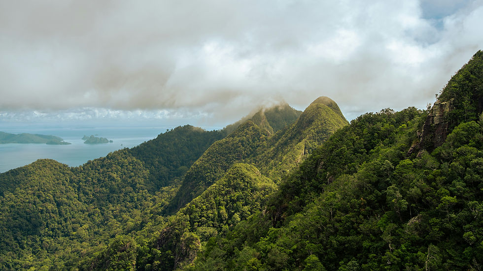 Hiking in Samoa