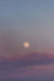 Image by Altınay Dinç