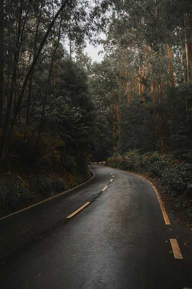 Image by Andrei R. Popescu