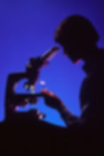 Image by National Cancer Institute