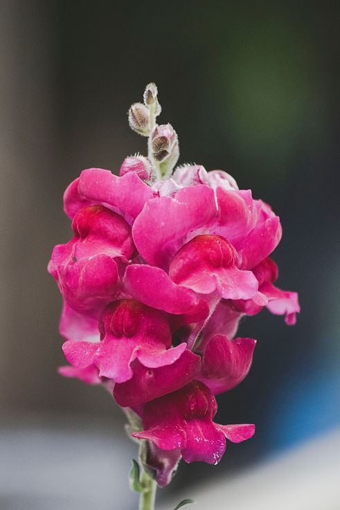 Image by Chandan Chaurasia