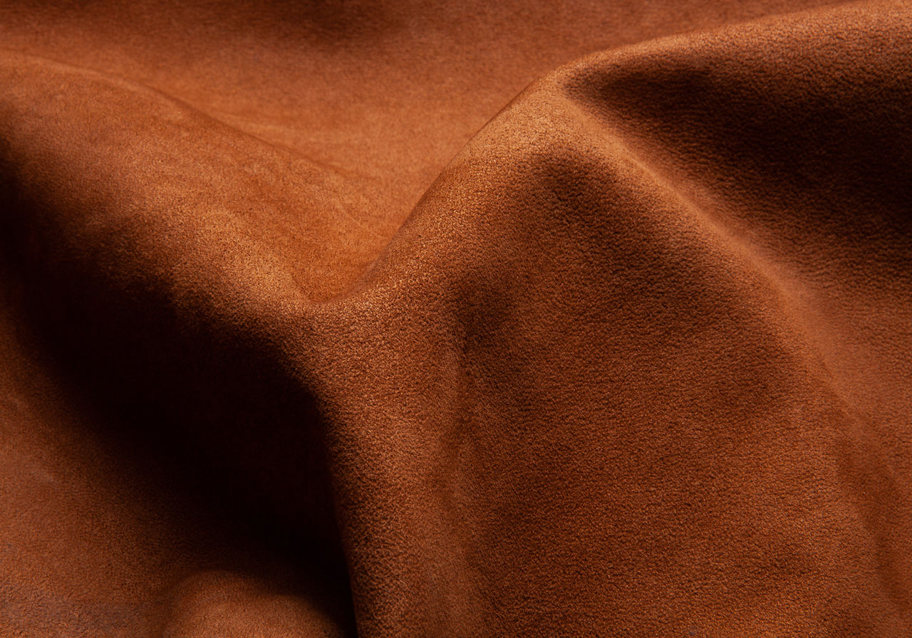 Image by Noah Kroes