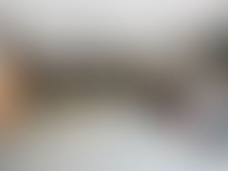 Paint Shops, Coating Dealers