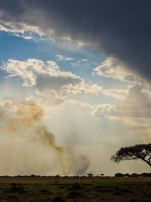 Understanding the Climate of Zambia: Weather Patterns and Best Travel Times