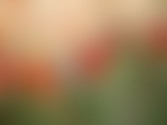 August 2025 Newsletter: Vaccines for School, Sports Physicals, Tick Season