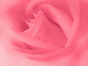 Cosa mangiare in menopausa per sentirsi meglio e rimanere in salute