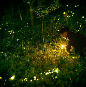 Image by Jerry Zhang