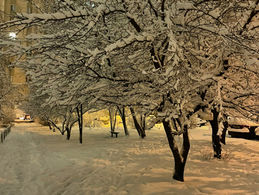 Latinx Best Seller List – January 2023