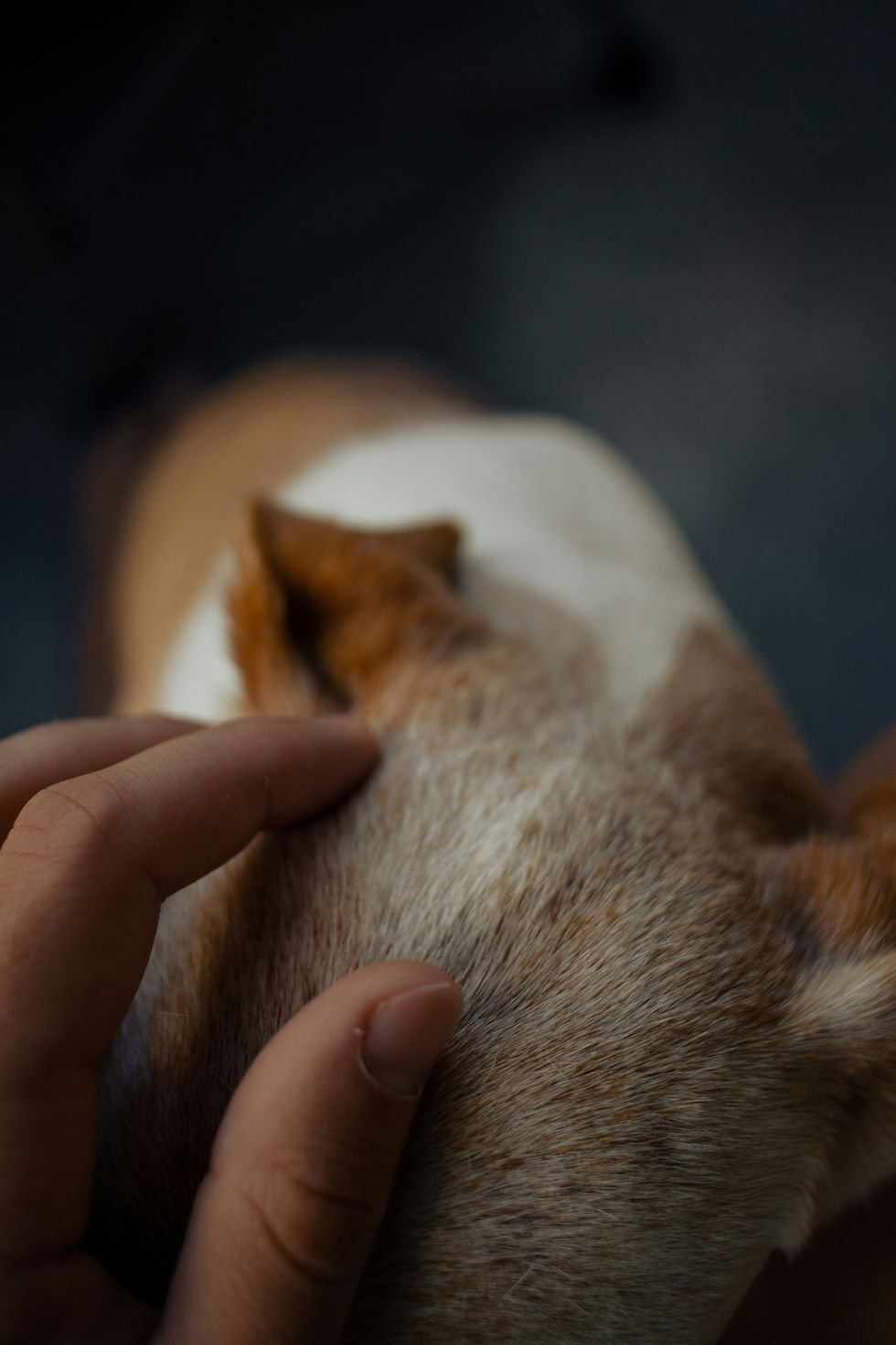 Acupuncture