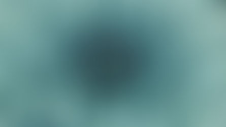 Inflammation In Our Bodies