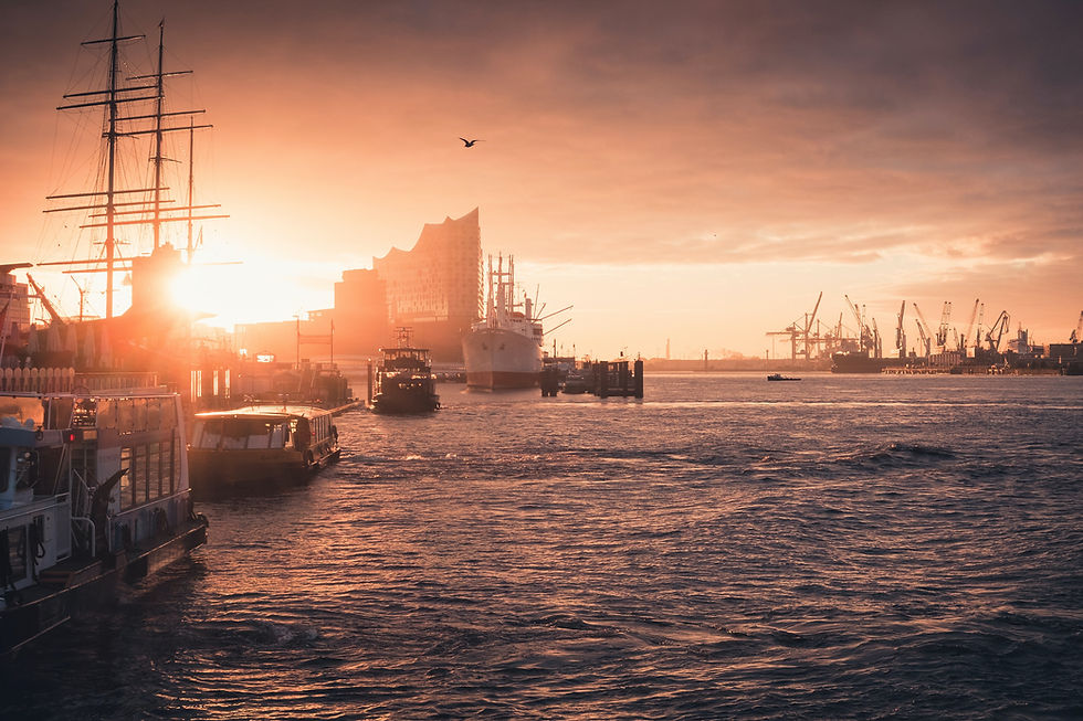 Image by Patrick Rosenkranz