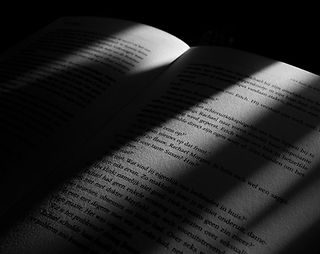 Image by Maxim Hopman