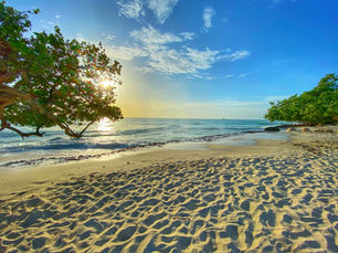 Travel Guide: Experience the Best of Aruba