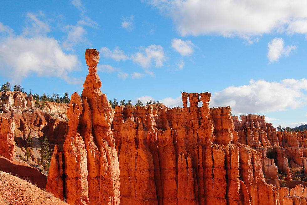 Rocks and Minerals: It's NOT "Hard" Science!
