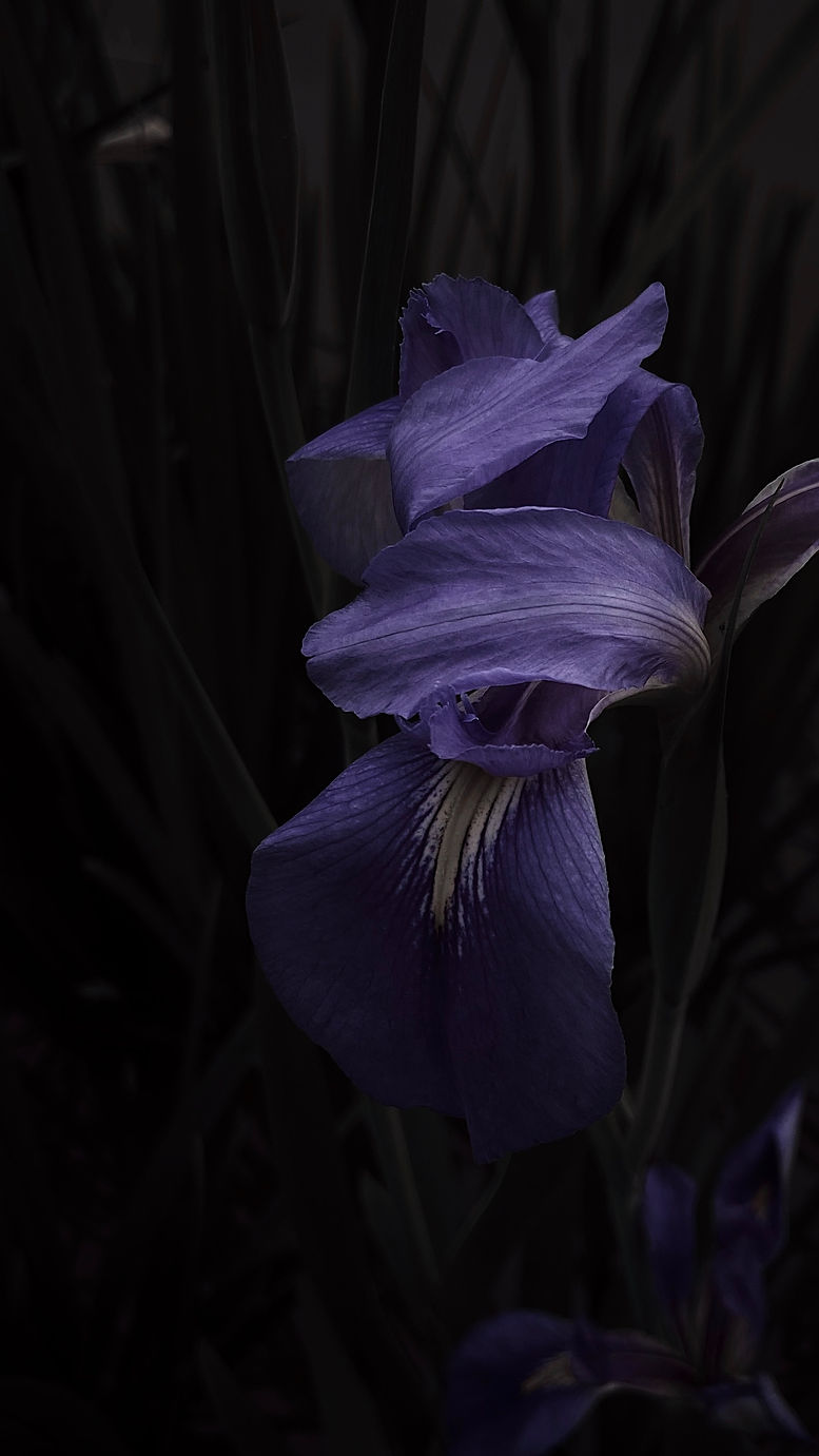 Image by Jason Tan
