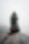 Image by Karsten Winegeart