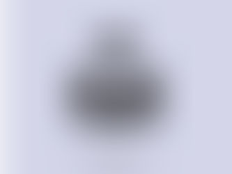 tecnologie isomorfe cervello | metodo mind unlock | NLP CEO | ipnosi ericksoniana | coaching imprenditori