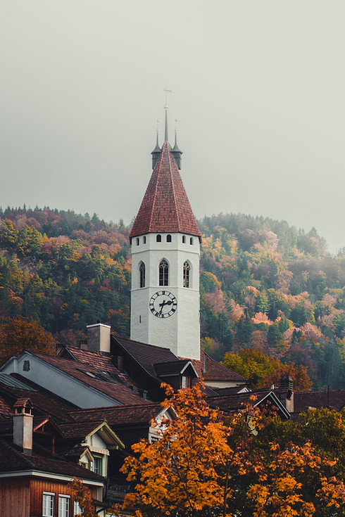 Image by Janis Fasel