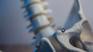 Everyone has a Pelvic Floor, even you Men!