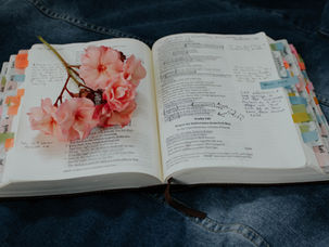 Whom the Lord Delivers (Psalm 34:17-18)