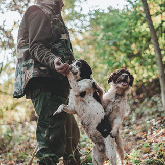 Hunting dogs and owner tracking for truffles