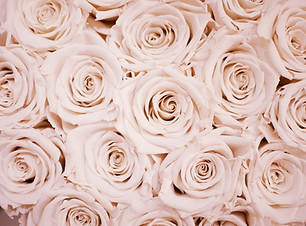 Image by Lauza Loistl