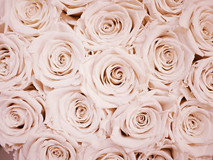 Image by Lauza Loistl