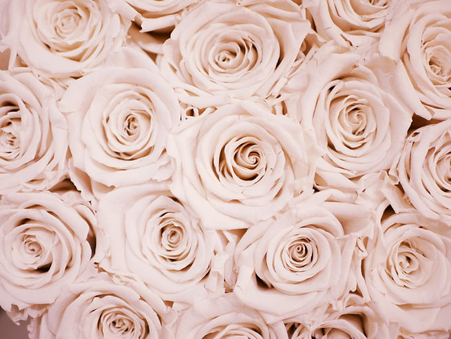 Image by Lauza Loistl