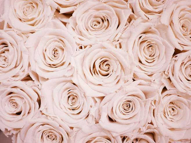 Image by Lauza Loistl