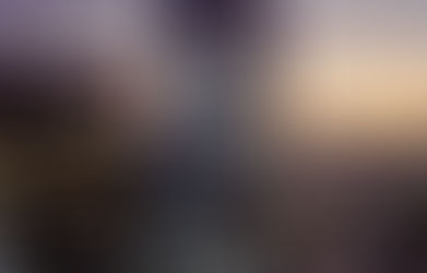 Internal Crisis with High Reputational Risk