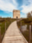 SÉMINAIRE CAMARGUE