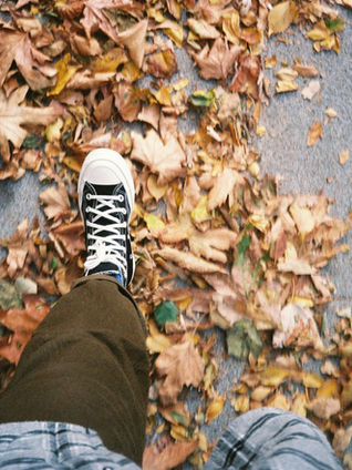 Autism and Seasonal Change: Navigating the Transition into Autumn and Winter